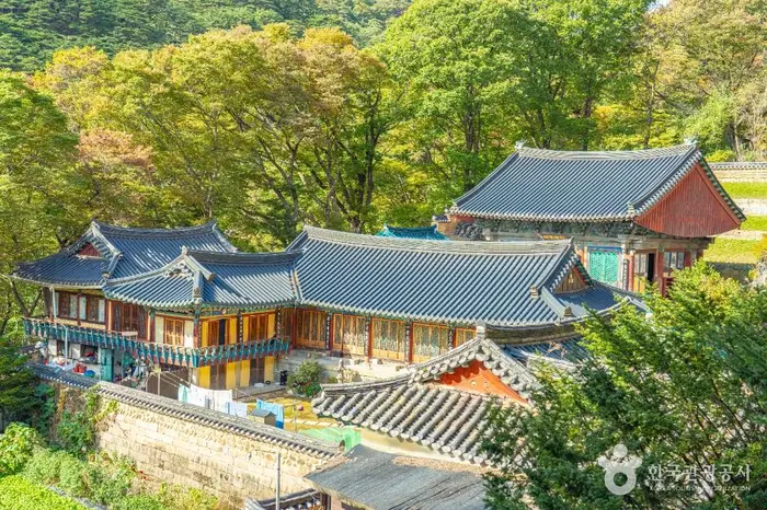 복천암(보은) · 관광지
