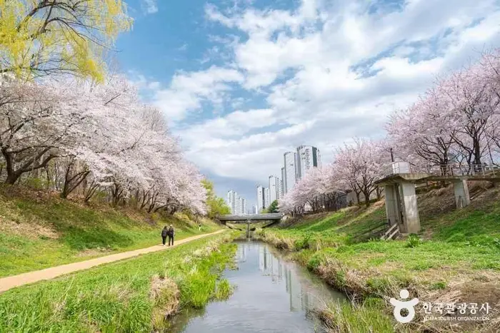 반월놀이공원 · 관광지