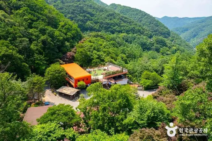 좌구산 자연휴양림 · 관광지