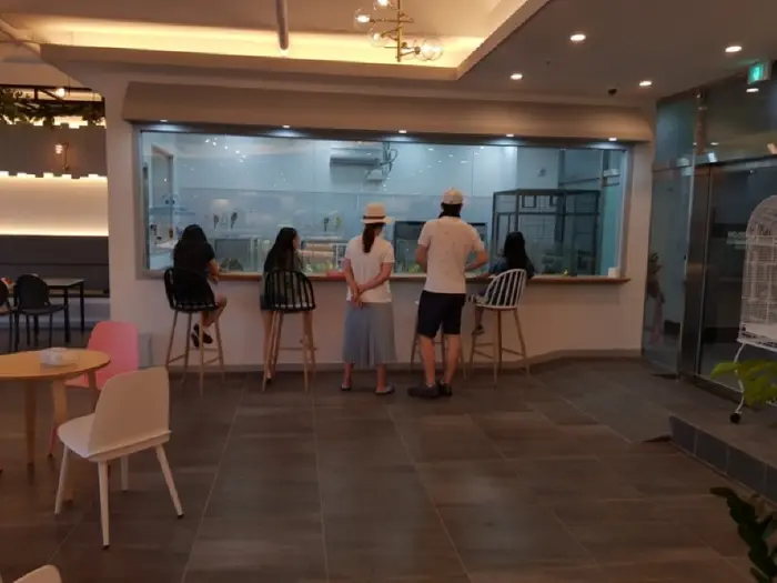버드리 · 음식점