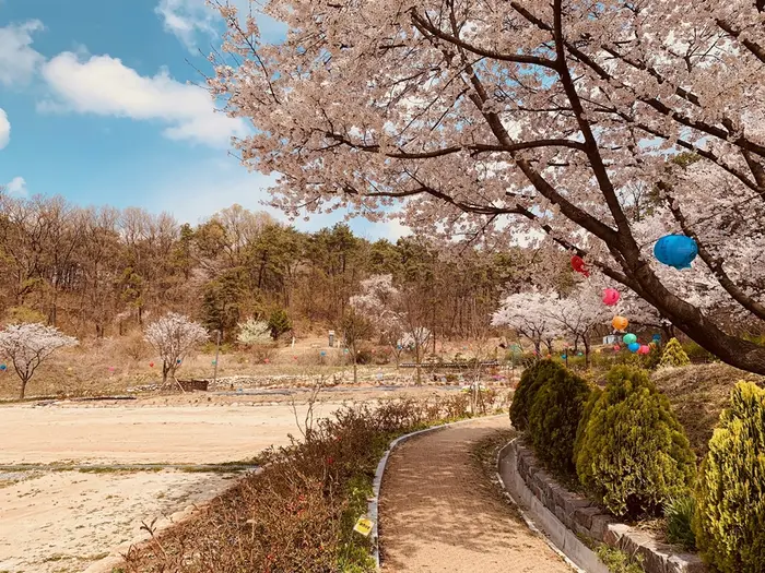 보현선원 · 관광지