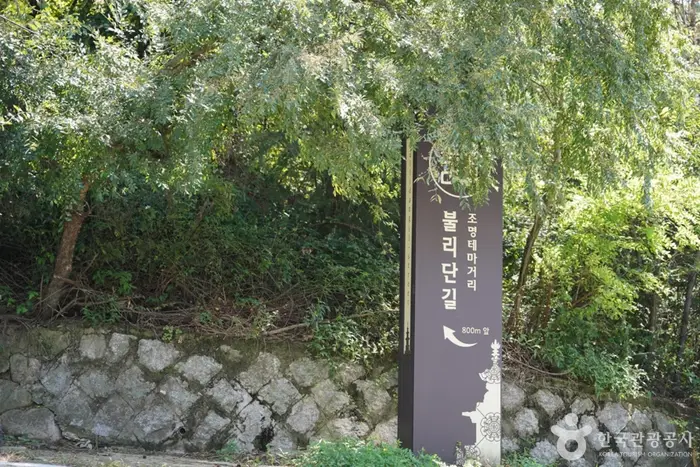 불리단길 · 관광지