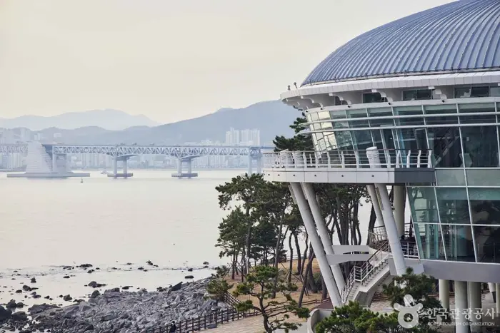 해운대 동백섬 · 관광지