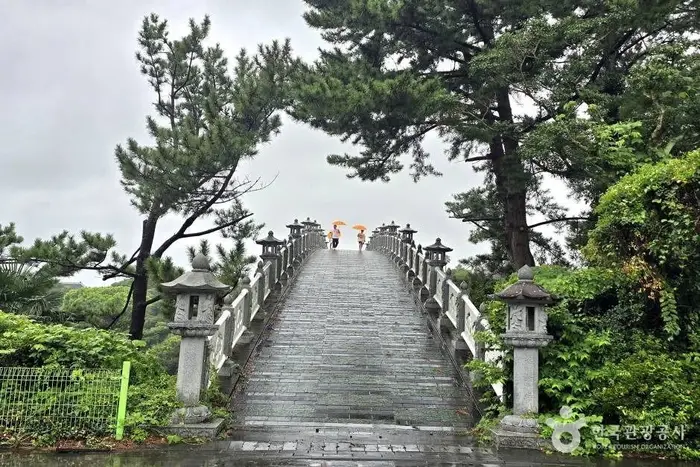 선임교 · 관광지