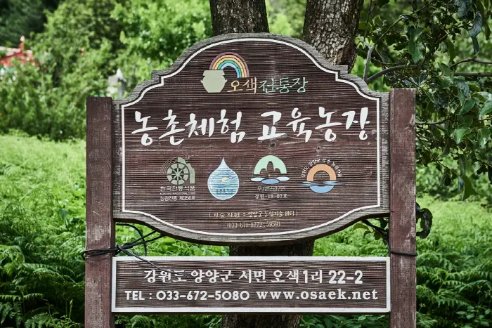 오색약수골전통장 · 관광지
