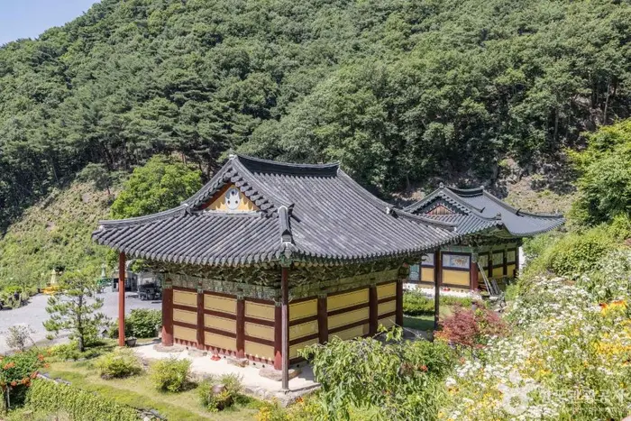 월리사(청주) · 관광지