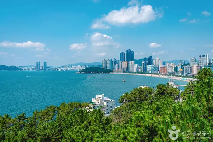 해운대 달맞이길 · 관광지