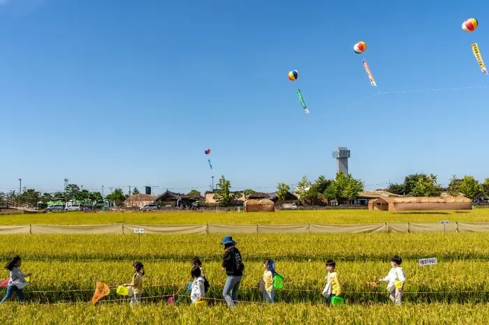 김제지평선축제 포스터 사진 3