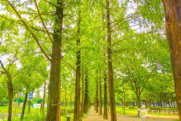 호산공원 · 관광지