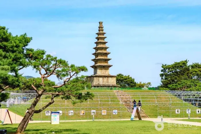 중앙탑공원(충주) · 관광지