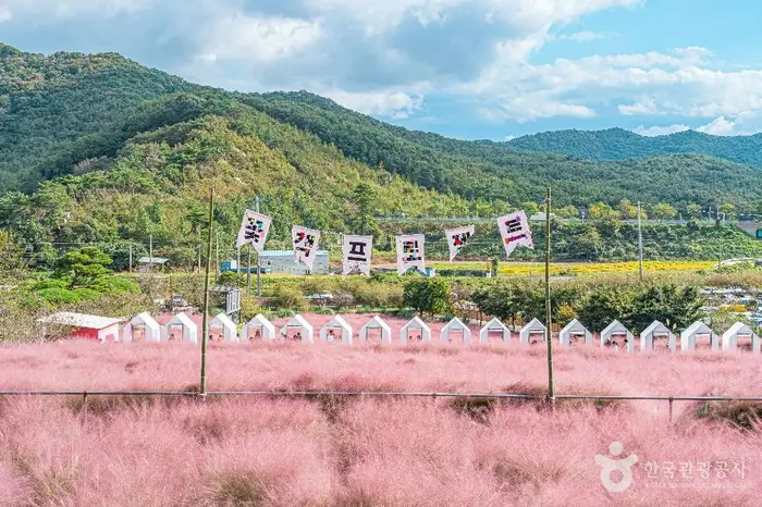 꽃객프로젝트 · 관광지