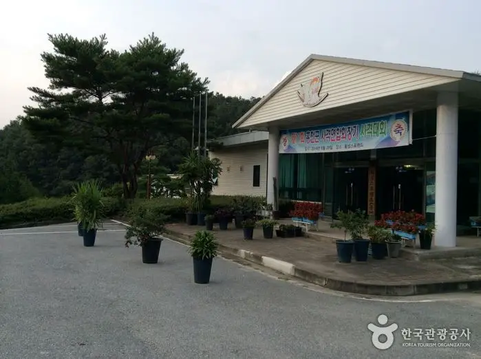 횡성스포랜드 · 레포츠