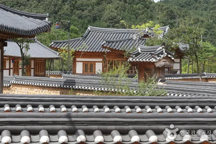 신라불교초전지 · 숙박