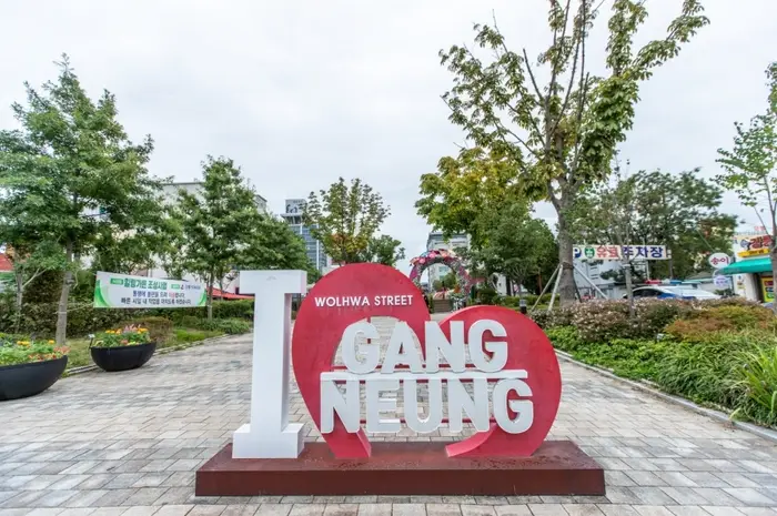 강릉 월화거리 · 관광지