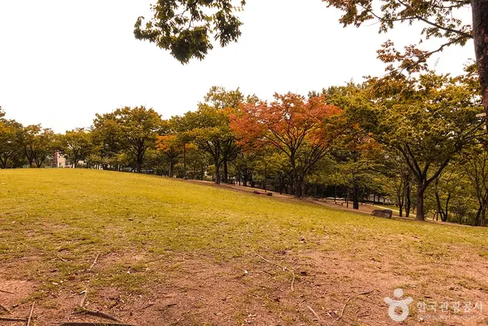신암공원 · 관광지