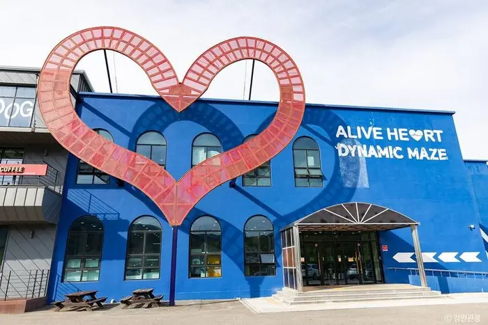 속초 얼라이브 하트(Alive Heart) · 관광지