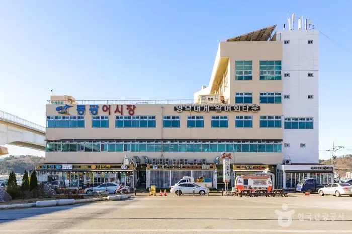 동광어시장 · 쇼핑