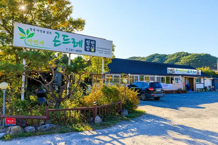 자연애곤드레 · 음식점