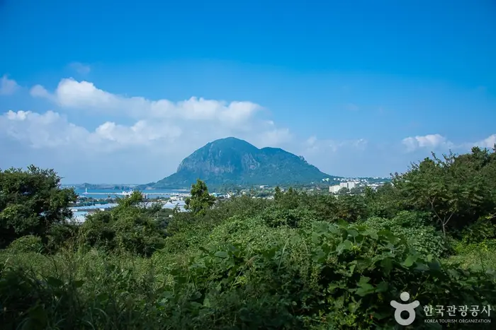 안덕 월라봉 · 관광지