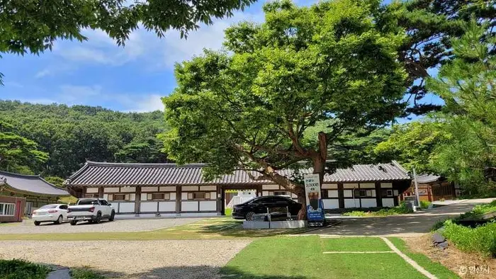 쌍계사(안산) · 관광지