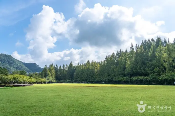 금강로하스대청공원 · 관광지