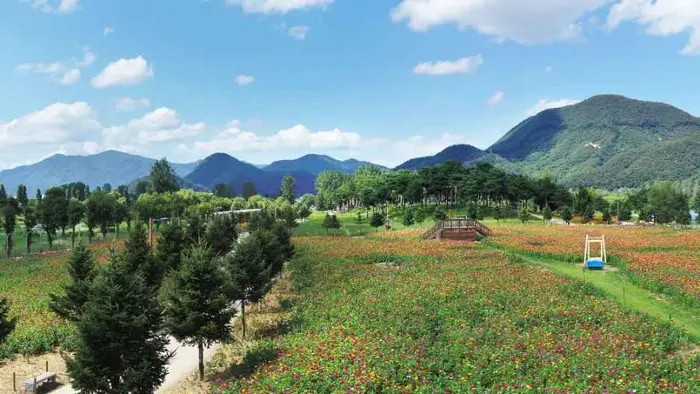 Colorful Garden 자라섬 꽃 페스타 포스터 사진 7