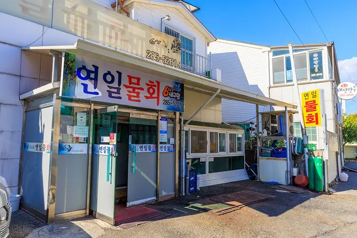 연일물회 · 음식점
