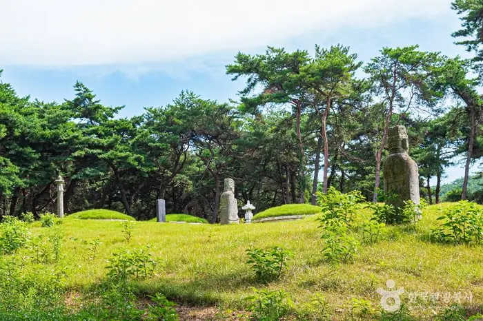 고홍건신도비 · 관광지
