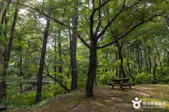 마니산 치유의 숲 · 관광지