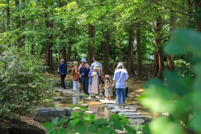 세미원 수련문화제 포스터 사진 4