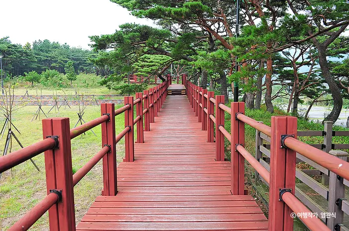서포리웰빙삼림욕산책로 · 레포츠