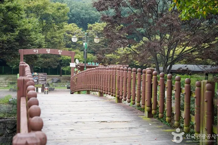 금오산야영장 · 레포츠