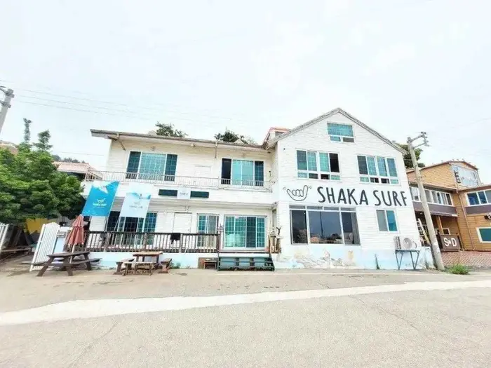 샤카서프 · 레포츠