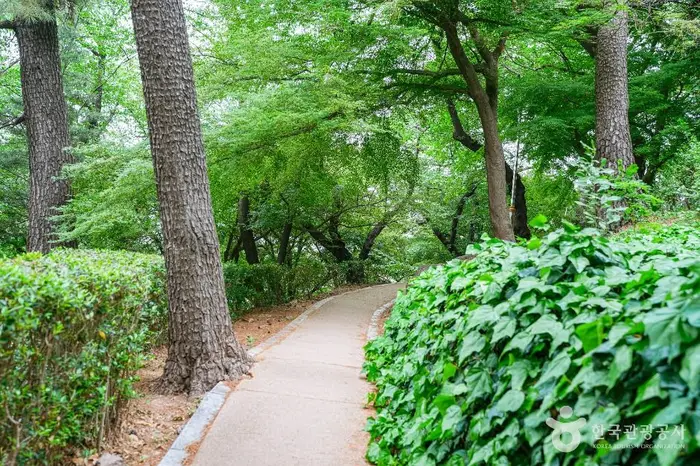 학성공원 · 관광지