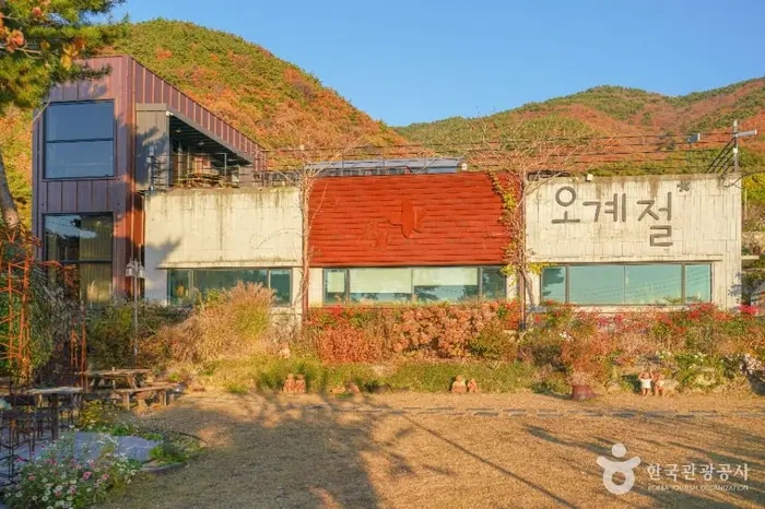 오계절 · 음식점