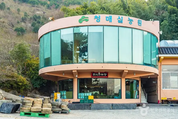 홍쌍리 청매실농원 · 관광지