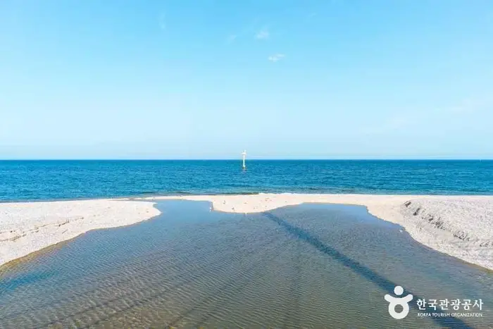 전촌솔밭해변 · 관광지