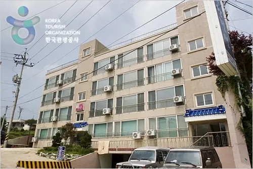 녹차향펜션 · 숙박