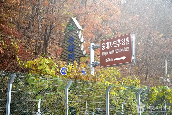 국립 용대자연휴양림 · 관광지
