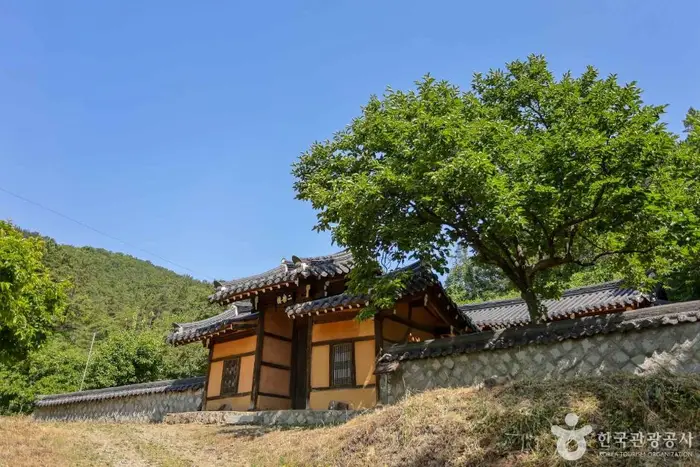 이강서원 · 관광지