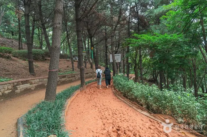 수진공원 · 관광지