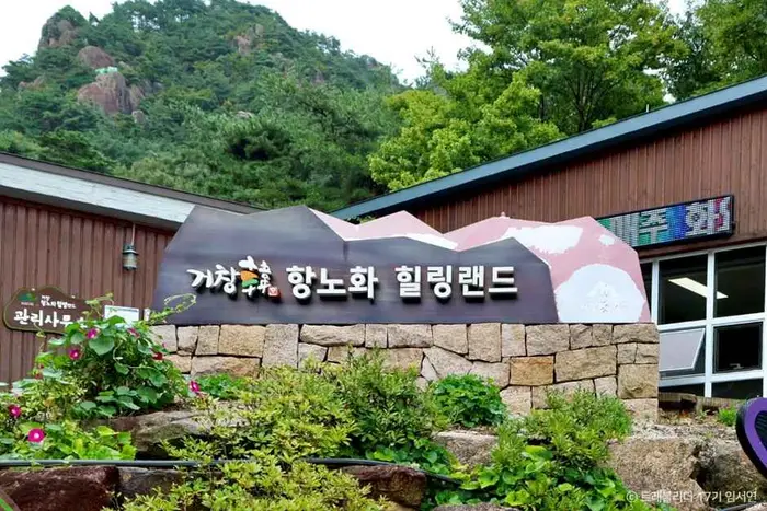거창 항노화힐링랜드 · 관광지