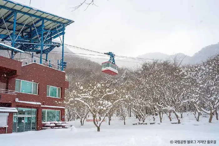 내장산 케이블카 · 관광지