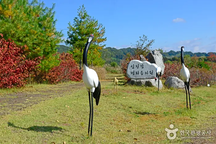 임진강평화습지원 · 관광지