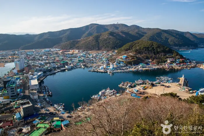 축산항 · 관광지