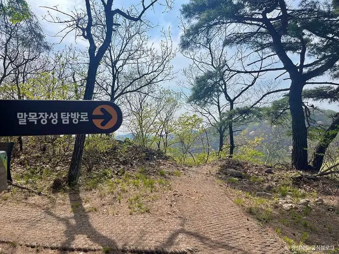 구룡포 말목장성탐방로 · 관광지