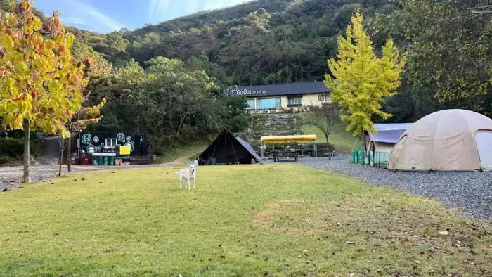 양주 감악산 캠핑장 · 레포츠