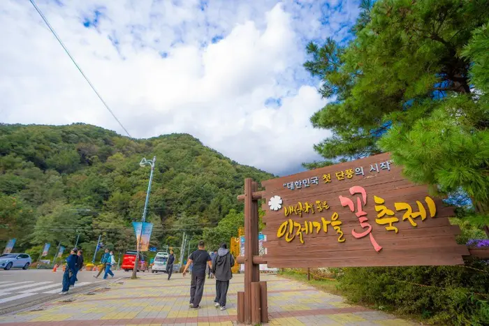 인제가을꽃축제 포스터 사진 8