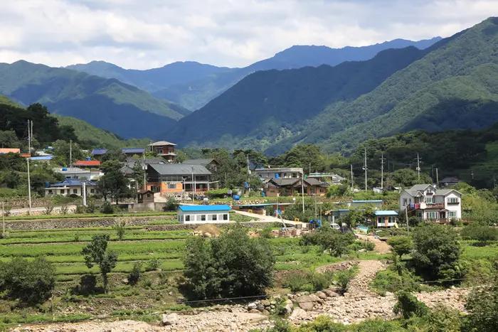 화개동천 야생차밭 · 관광지