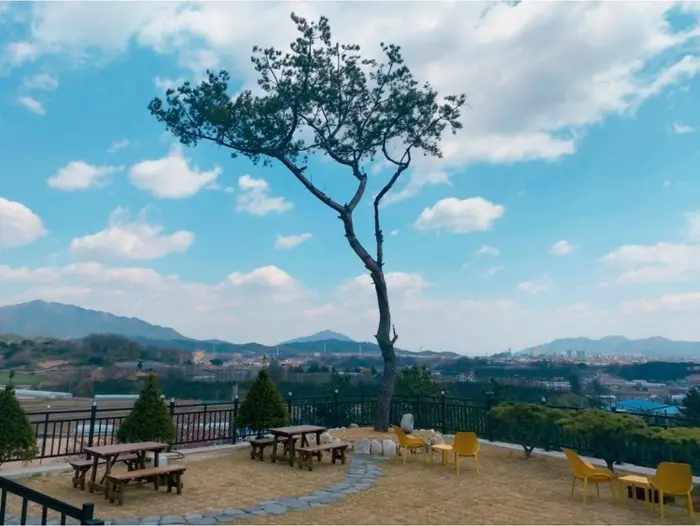하늘29 · 음식점